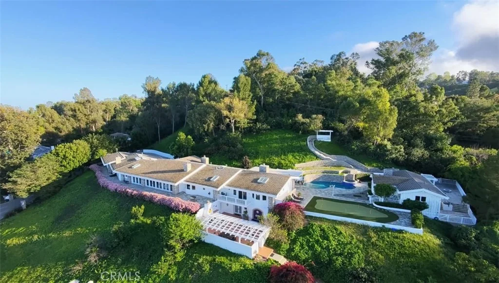 Photo of 49 Saddleback