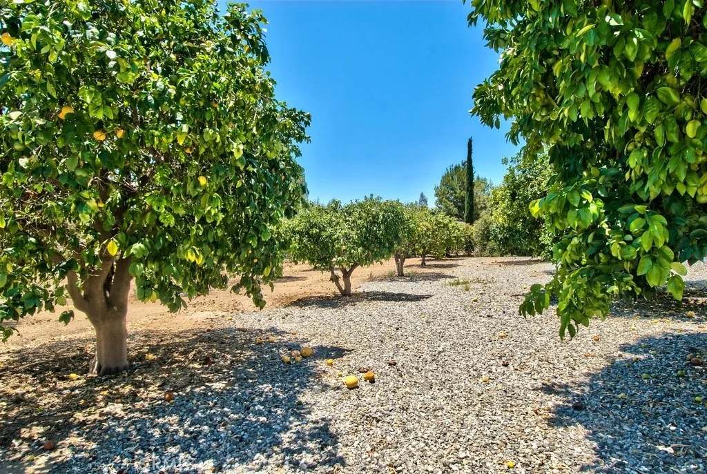 Photo of 34623 The Farm