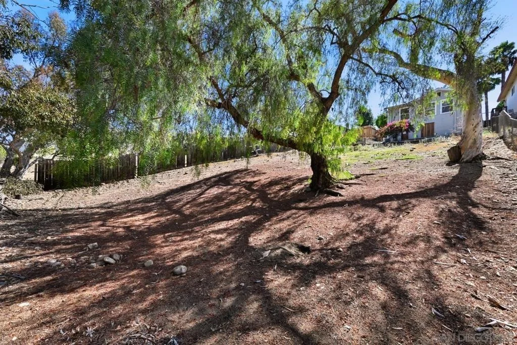 Photo of 5079 Guava