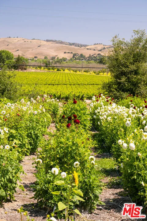 Photo of 8630 Santa Rosa Road