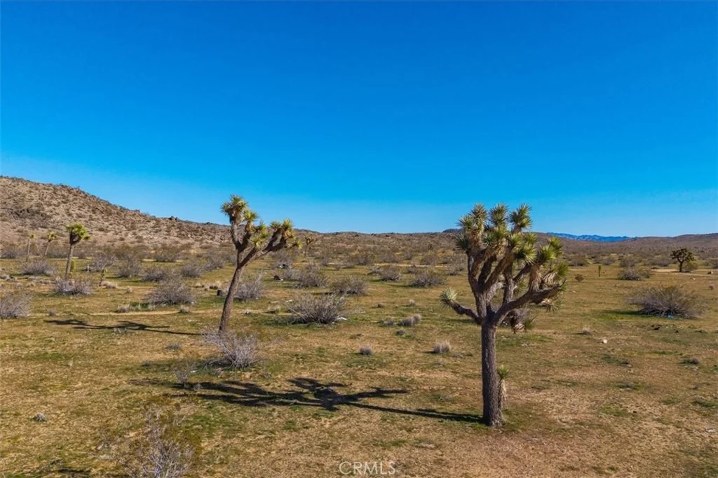 Photo of 58459 Starlight Mesa Road
