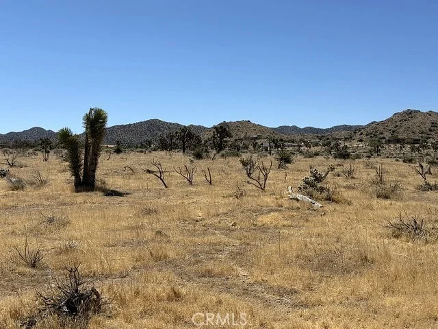 Photo of 58225 San Andreas Road