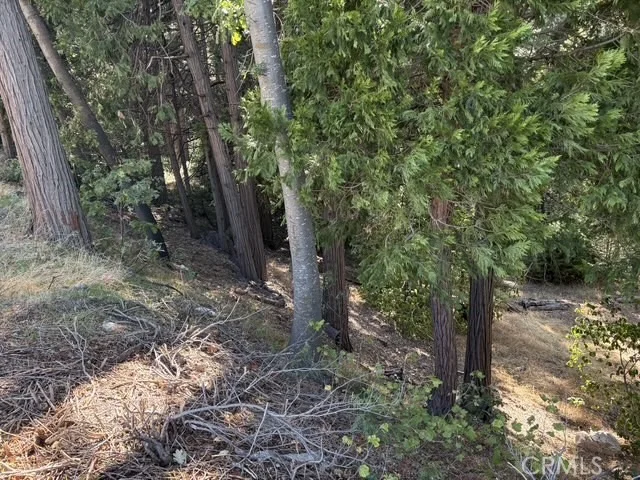 Photo of 27917 Squirrel Lane
