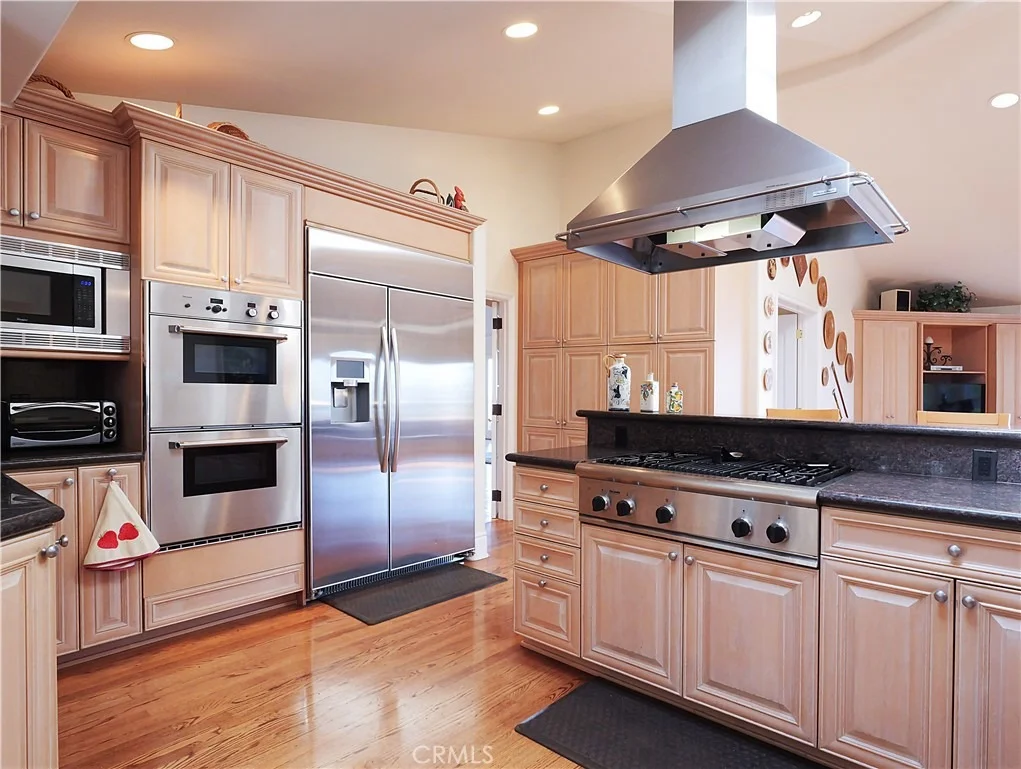 Photo of 49 Saddleback