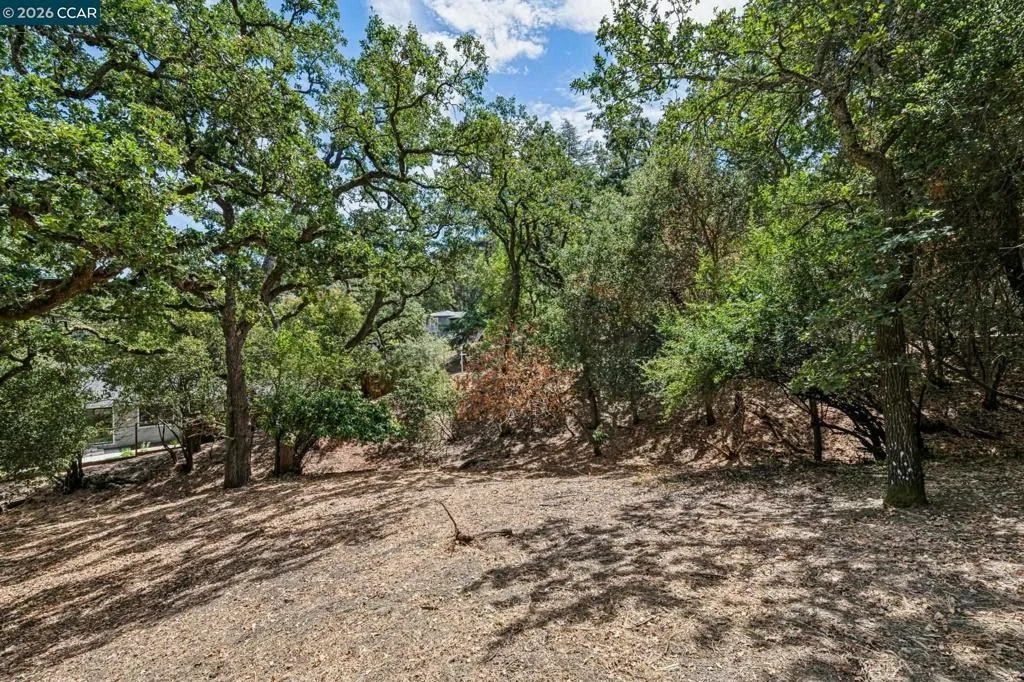 Photo of Ridge Road