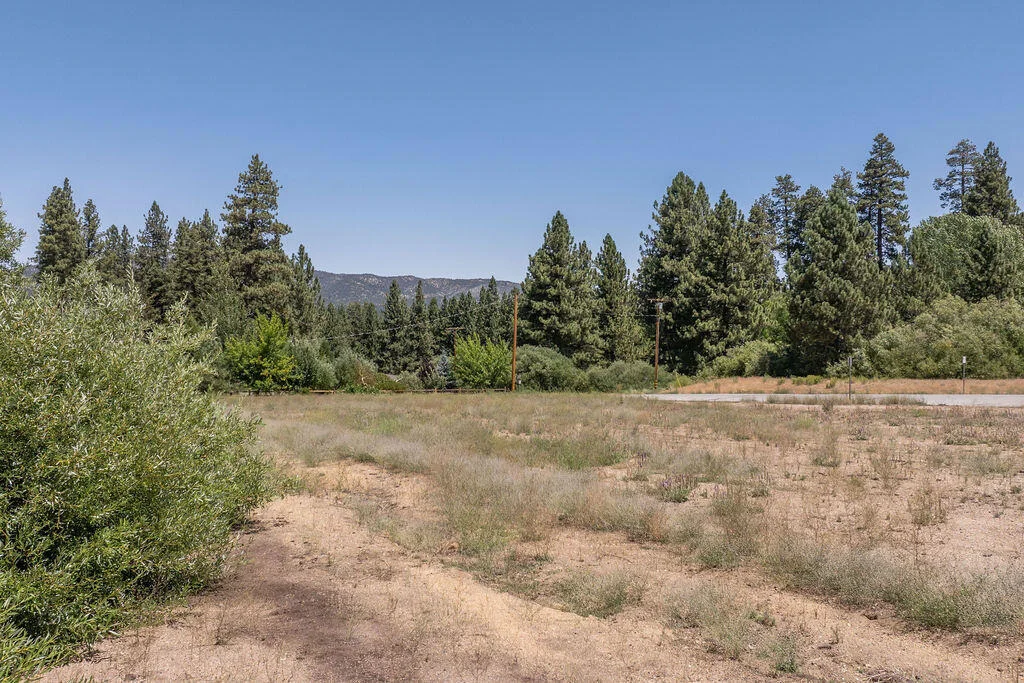 Photo of 990 Pine Knot Avenue