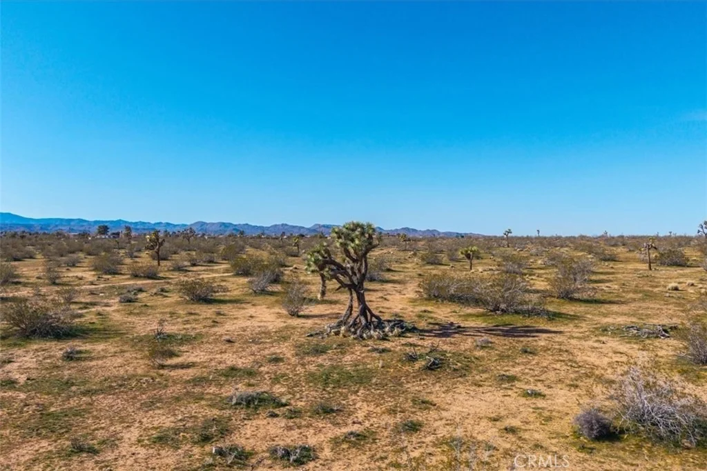 Photo of 58459 Starlight Mesa Road