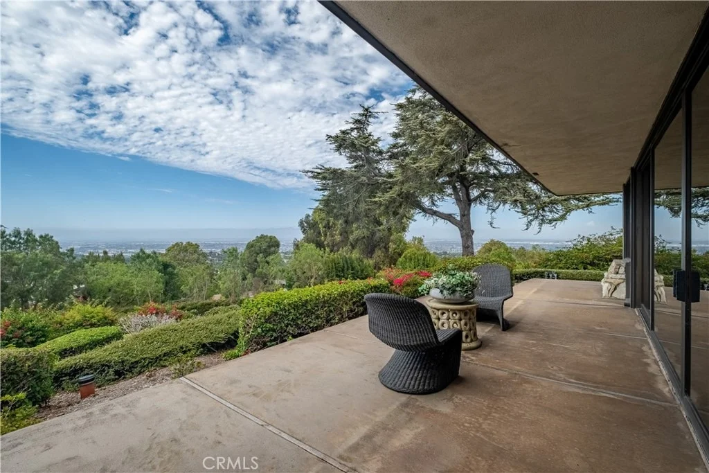 Photo of 57 Saddleback
