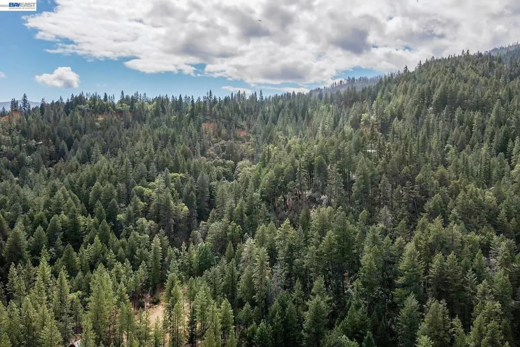 Photo of 2130 Wintu Pass Rd.
