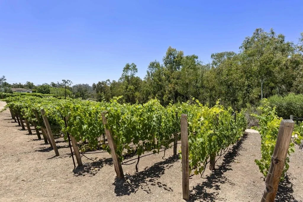 Photo of 5293 La Glorieta