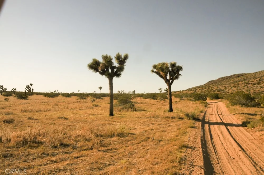 Photo of 58459 Starlight Mesa Road