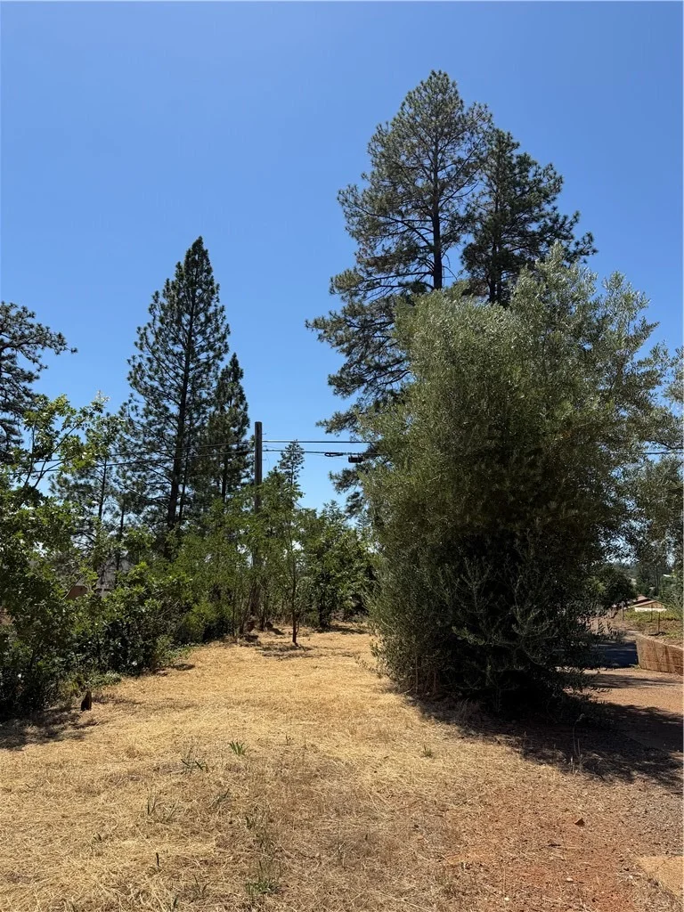 Photo of 5726 Newland