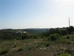 Photo of 7339 Dancy
