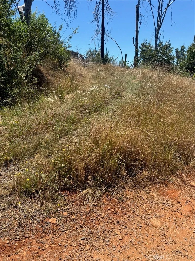 Photo of 201 Pine Tree