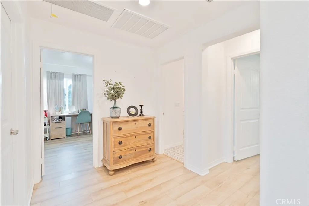 Photo of 1028 Coriander