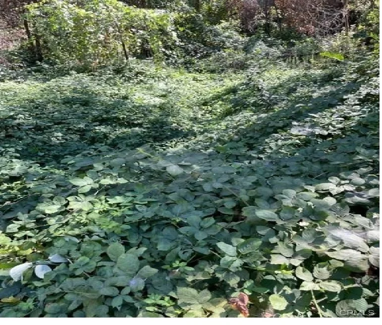 Photo of 27 Broken Springs