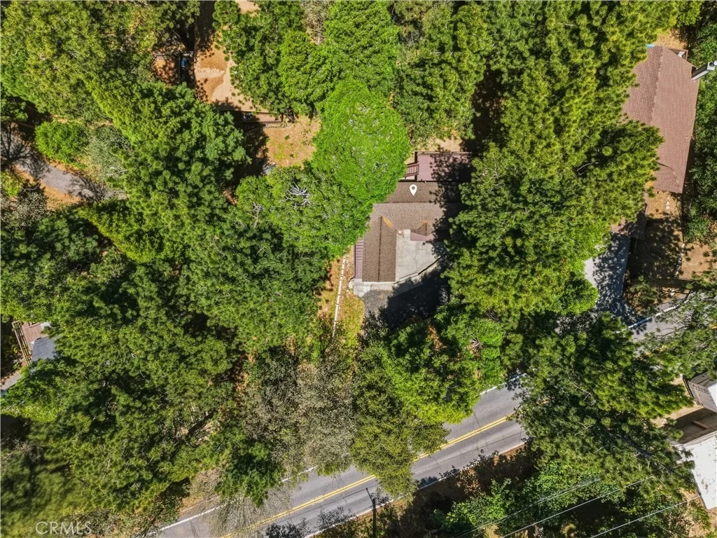 Photo of 22980 Crest Forest