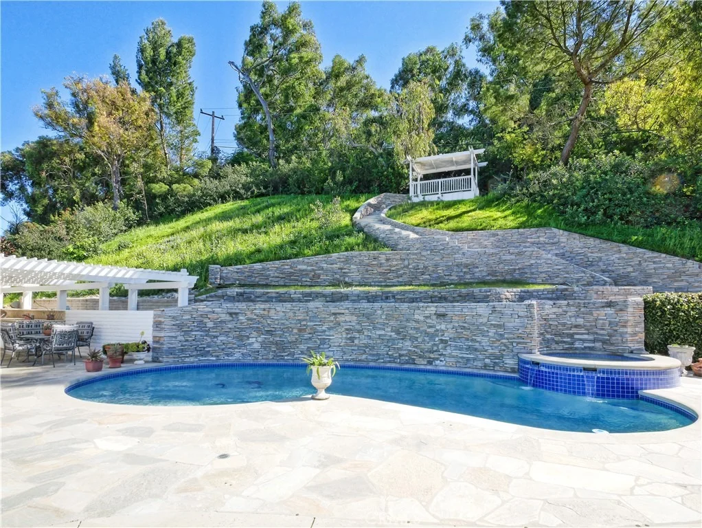 Photo of 49 Saddleback