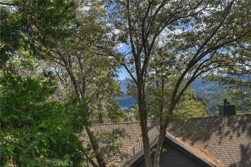 Photo of 230 Shasta