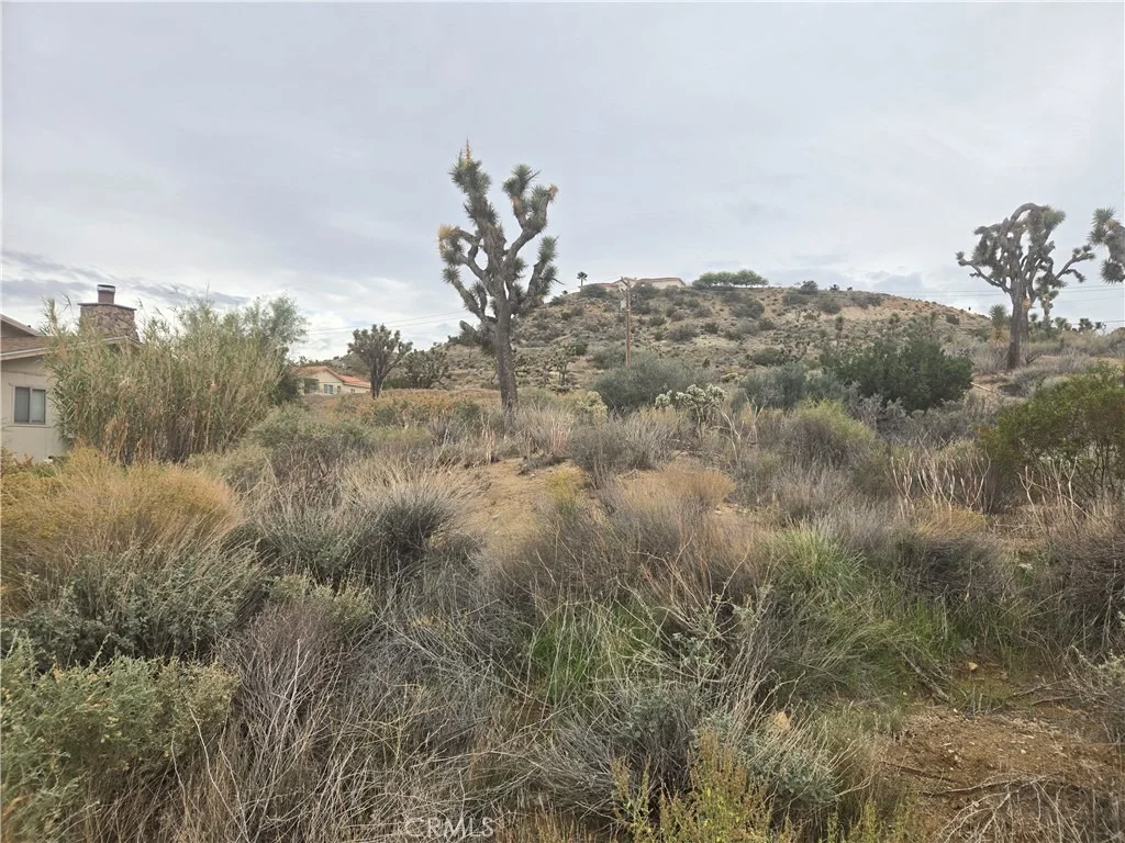 Photo of 54777 Twentynine Palms Highway