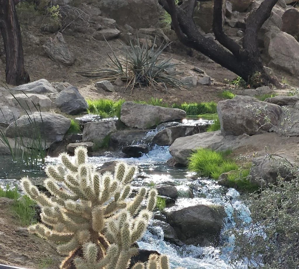 Photo of 48471 Old Stone Trail