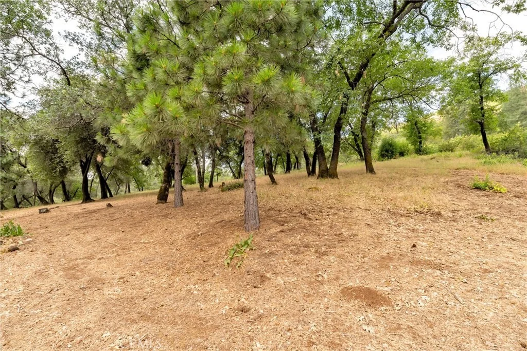 Photo of 13411 Bean Flat
