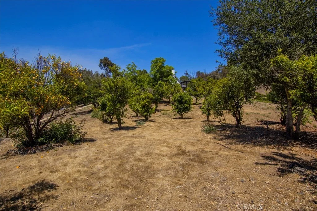 Photo of 42525 Calle Capistrano