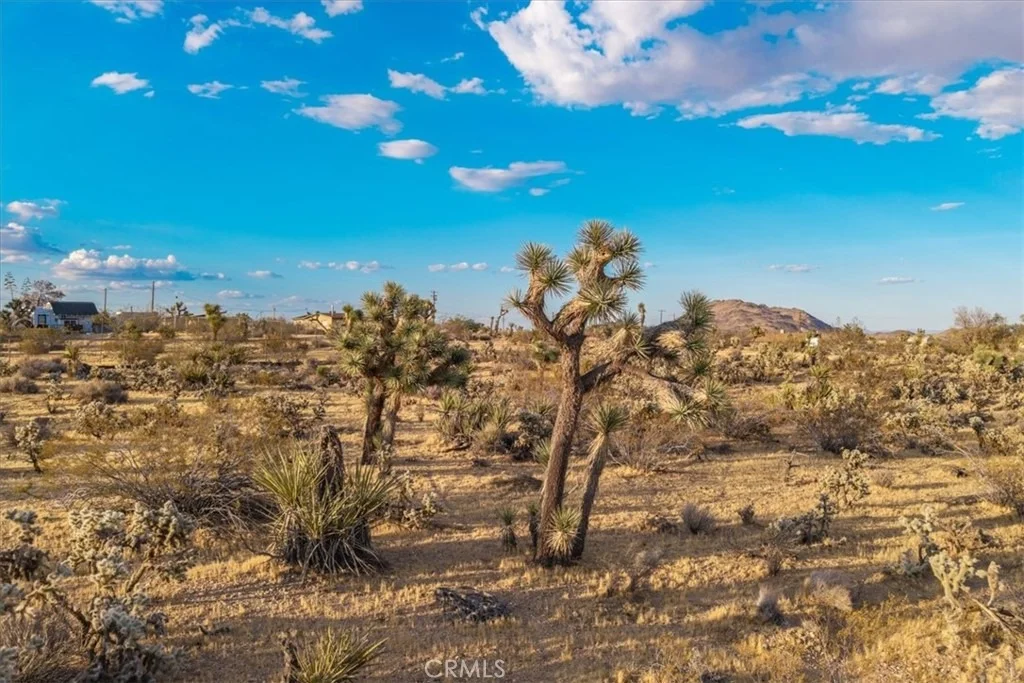 Photo of 58814 Los Coyotes