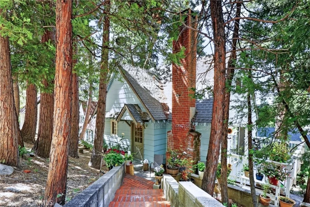 Photo of 208 Heliotrope