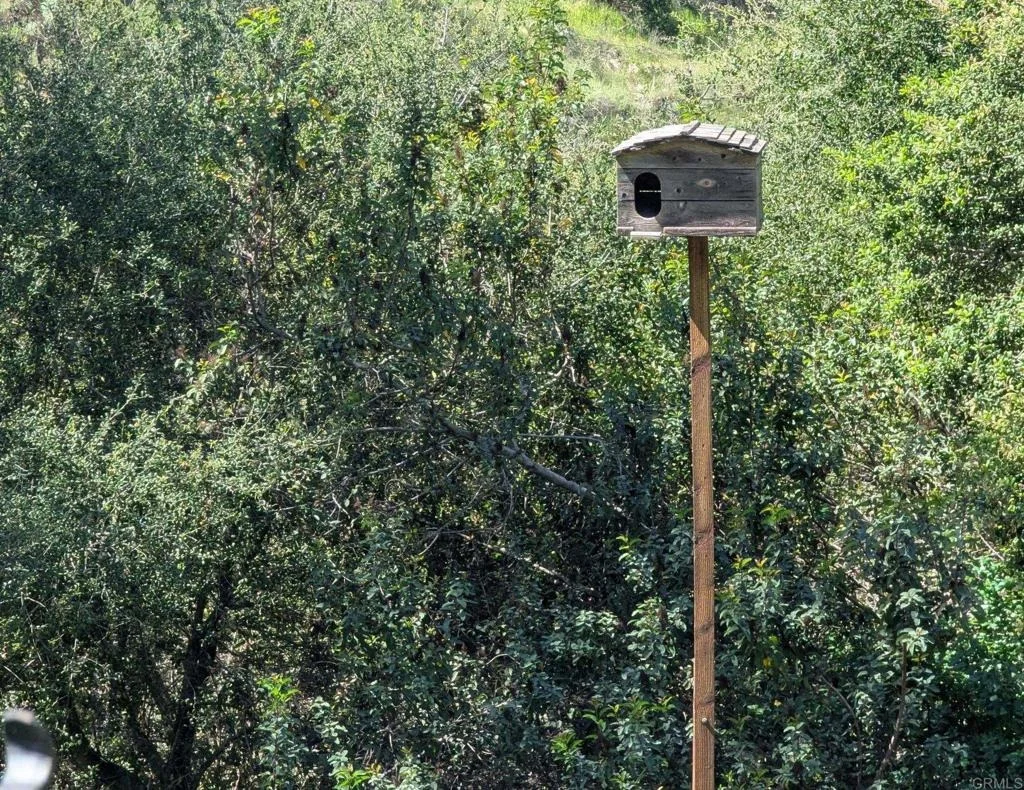 Photo of 3333 Suncrest