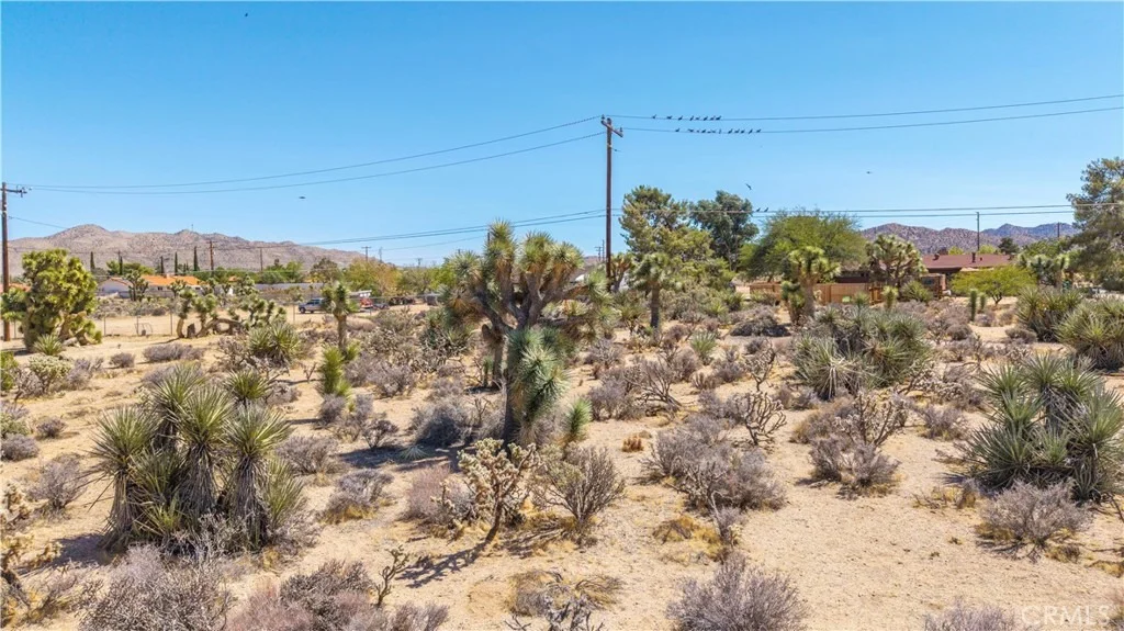 Photo of 58323 Lisbon Drive