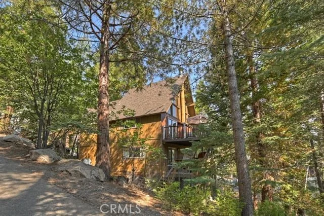 Photo of 265 Grizzly
