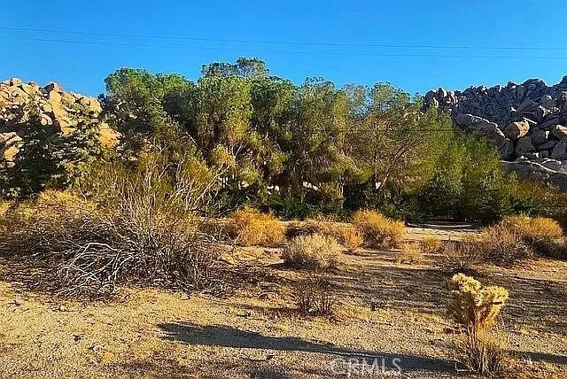 Photo of 66058 Foothill Drive