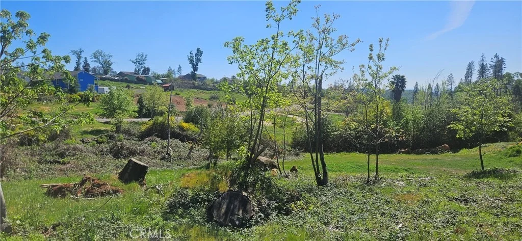 Photo of 1190 Glen
