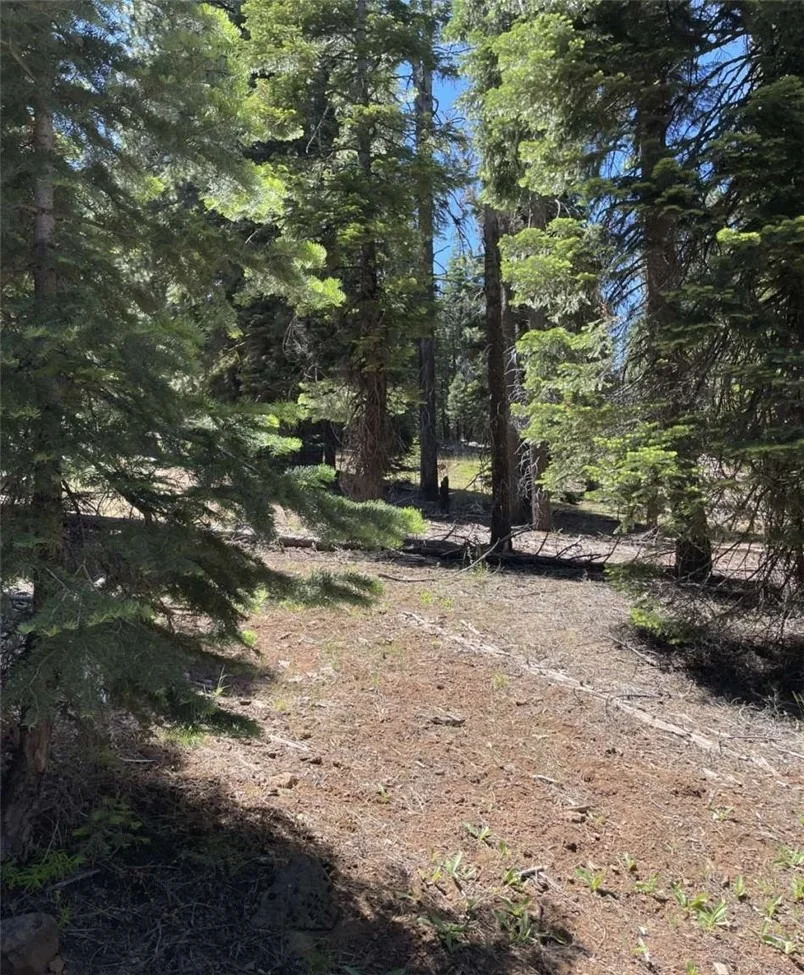Photo of 0 Range Road