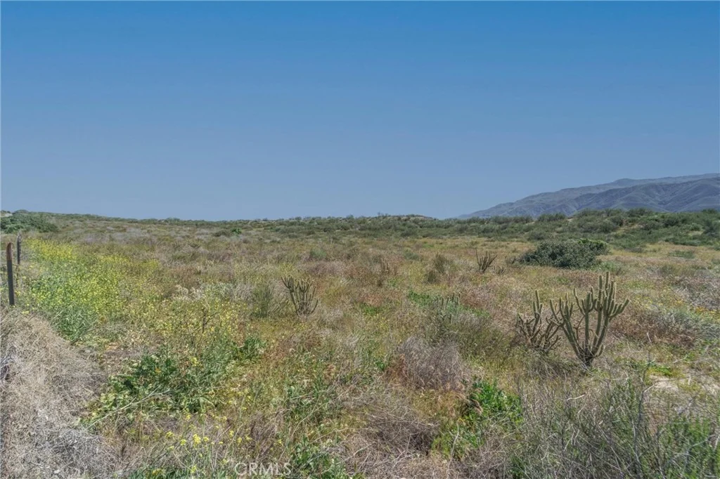 Photo of 41 Highway 79