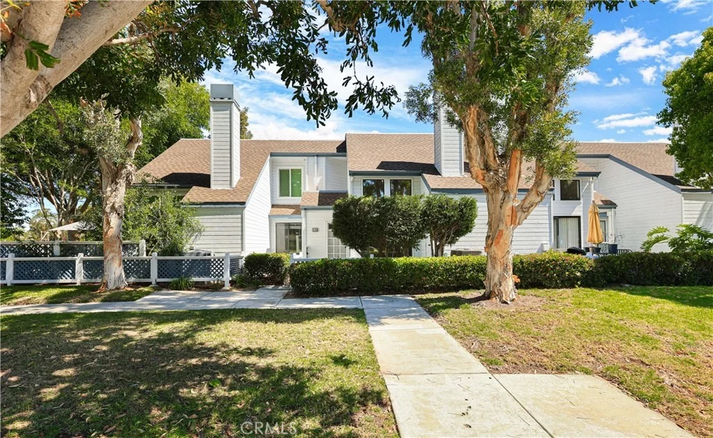 Photo of 446 Fallingstar