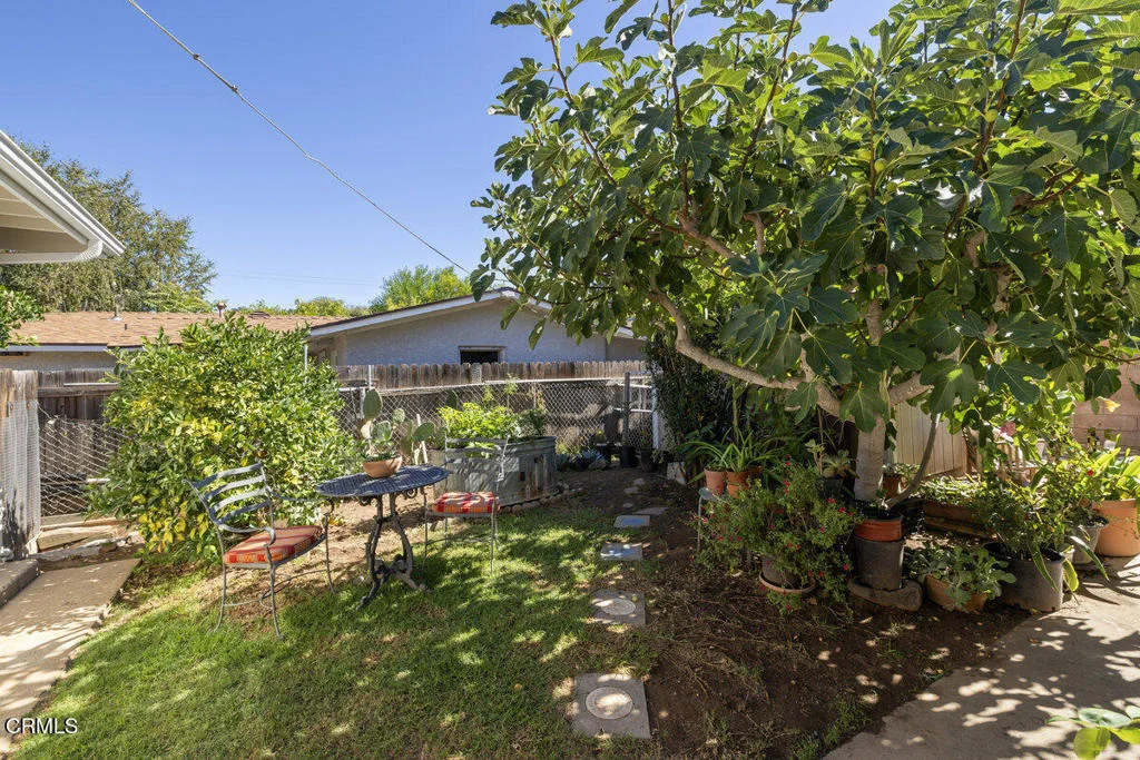 Photo of 386 Larmier Avenue