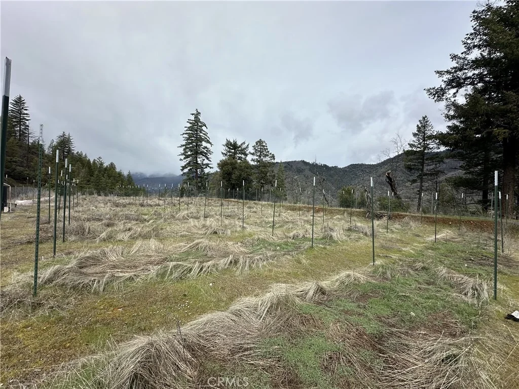 Photo of 240 Rasmusen Lane