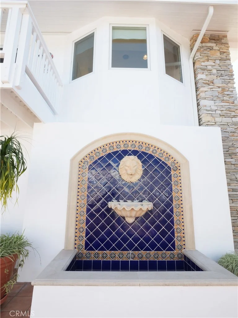 Photo of 49 Saddleback
