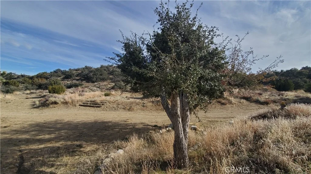 Photo of 0 Vicinity Ross Road E