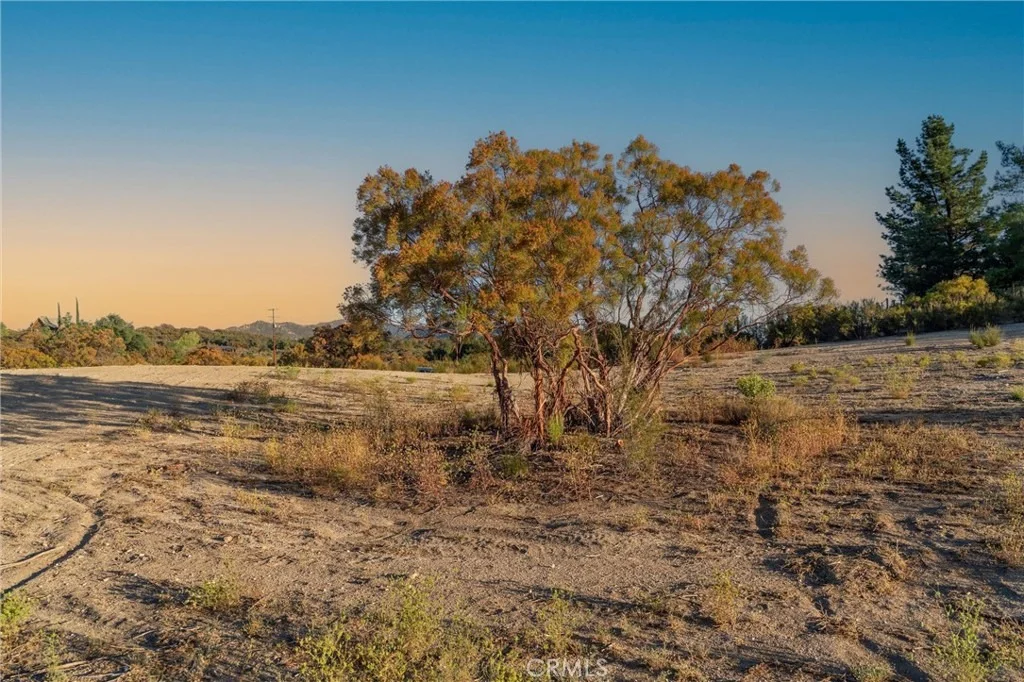Photo of 37626 Cruces