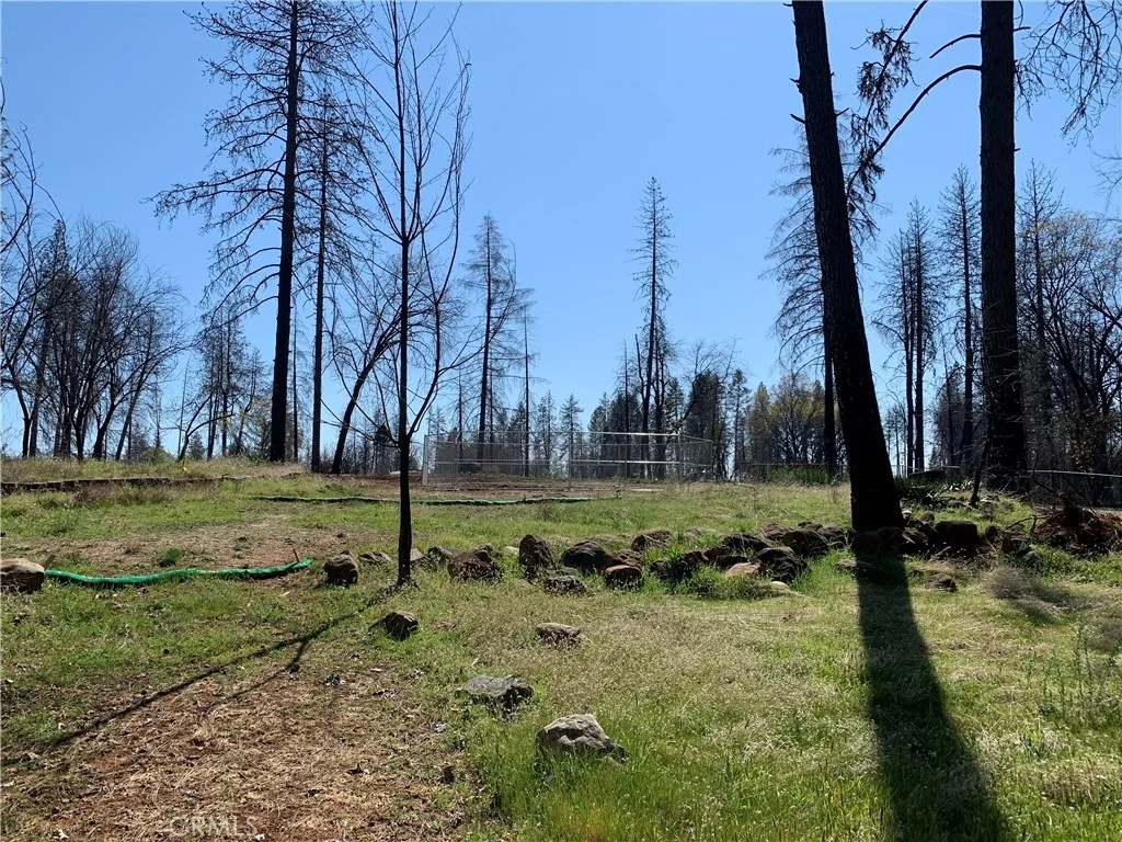 Photo of 723 Madrone Way