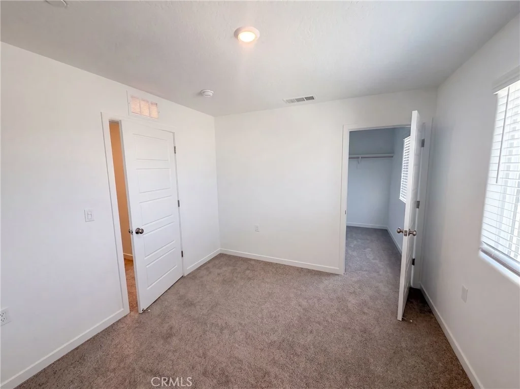 Photo of 3267 Carambola
