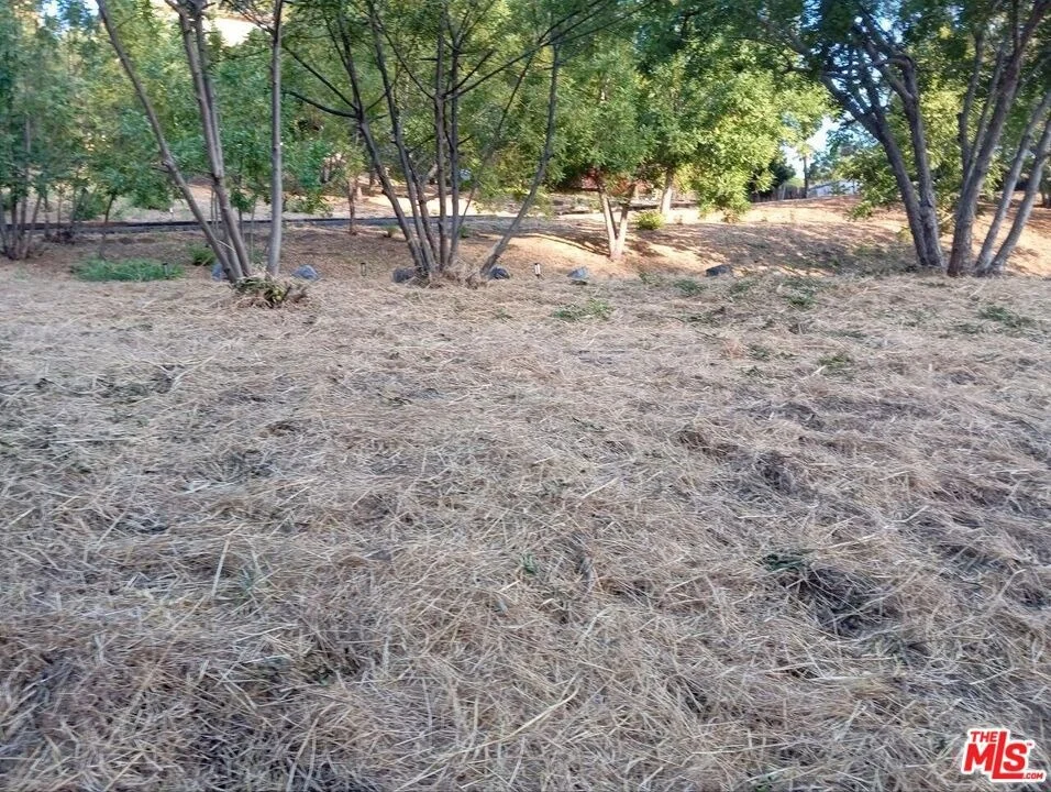 Photo of 3747 Richardson