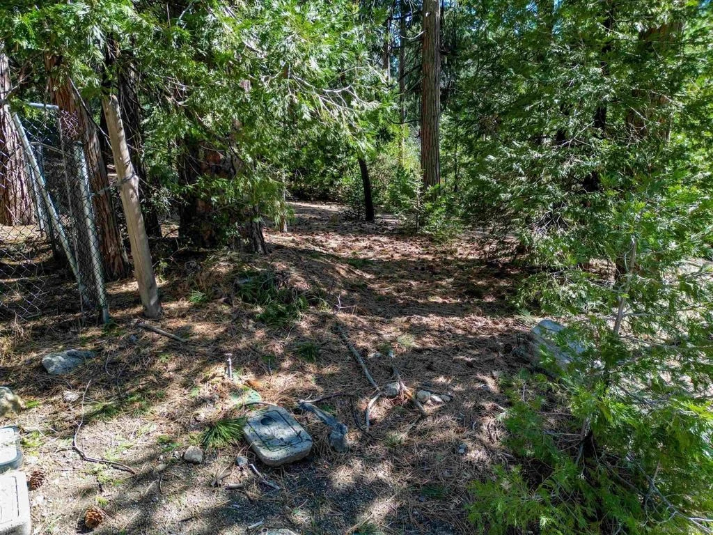 Photo of 0 Laurel Trail