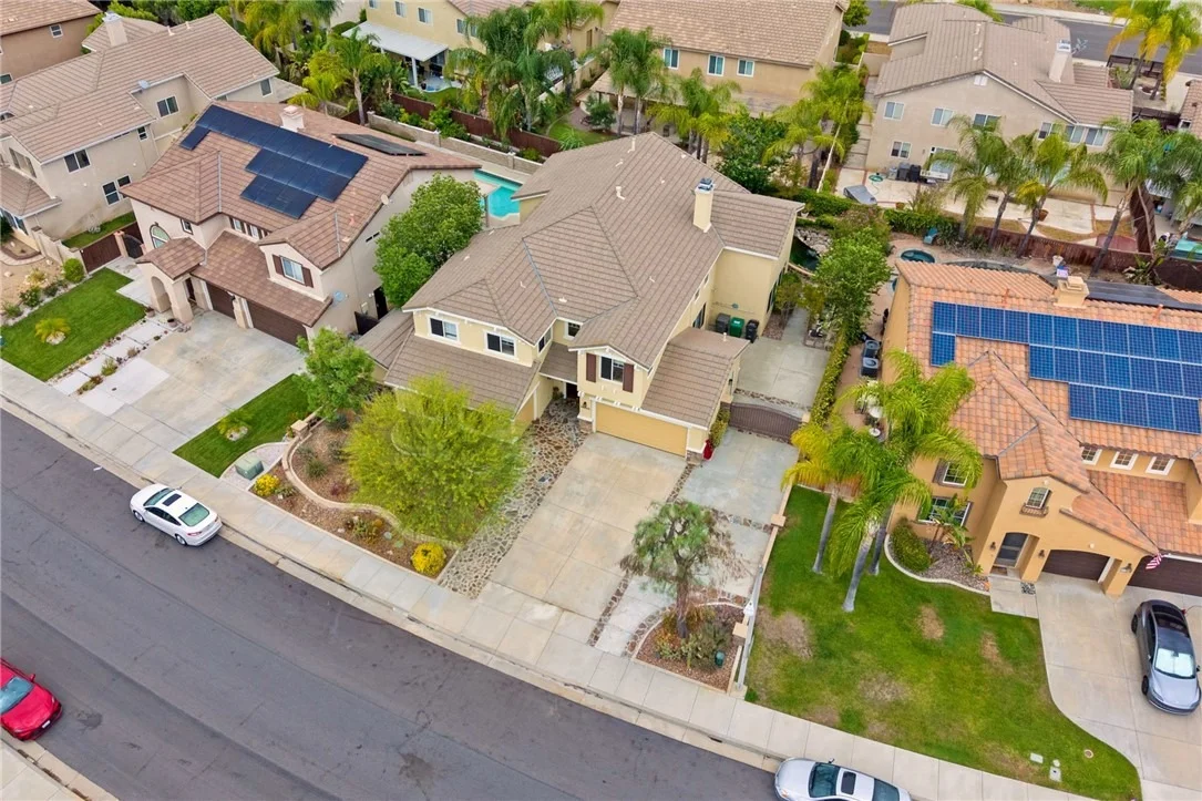 Photo of 26352 Palm Tree