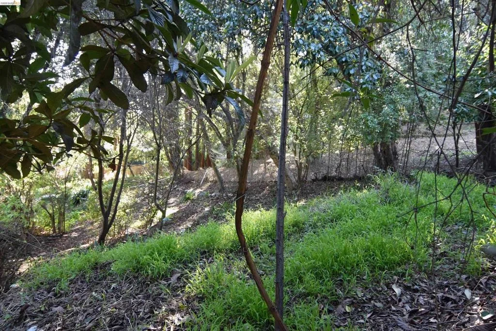 Photo of 962 Regal Rd