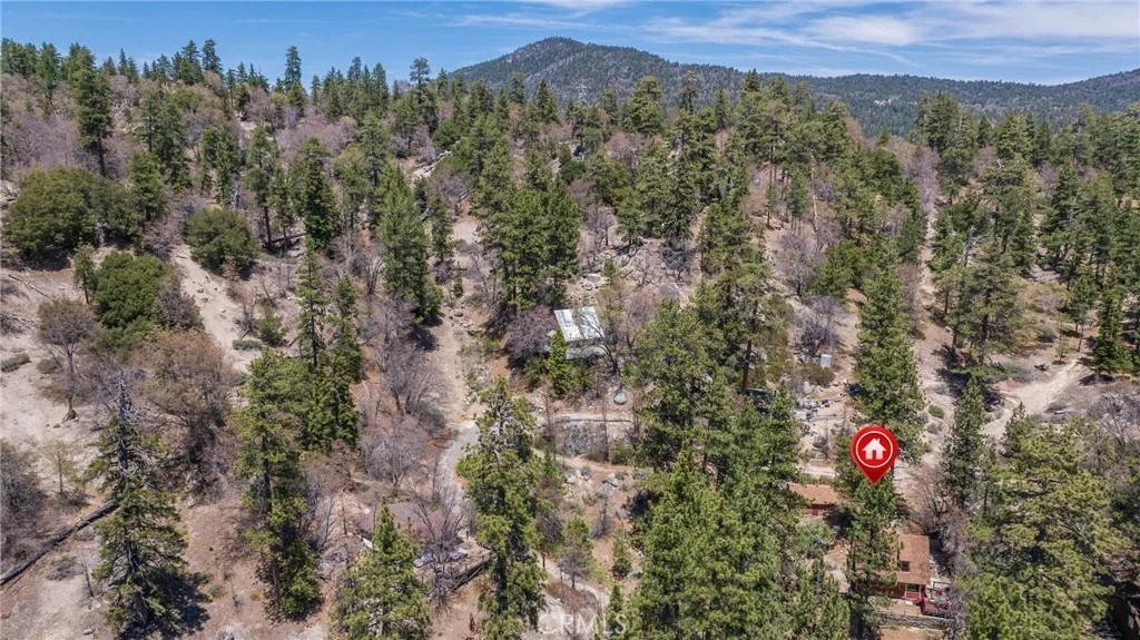 Photo of 352 Big Bear Trail