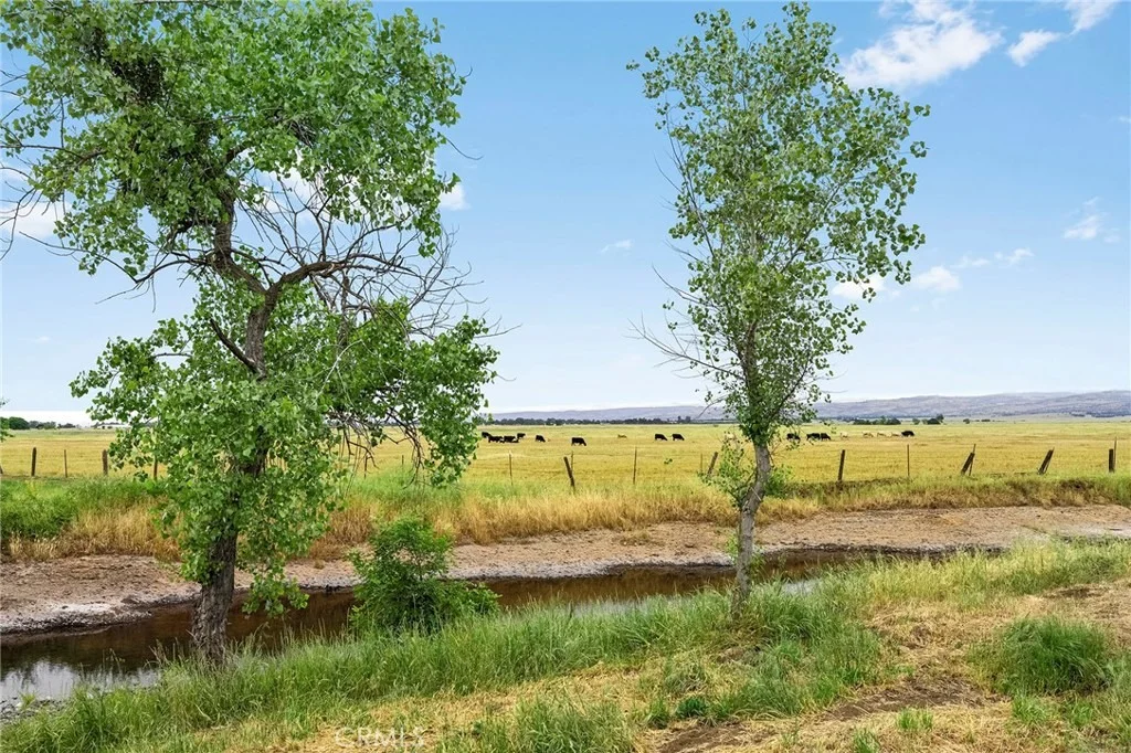 Photo of 0 Caruthers Lane